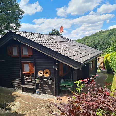 Chalet Spessart Dammbach Экстерьер фото