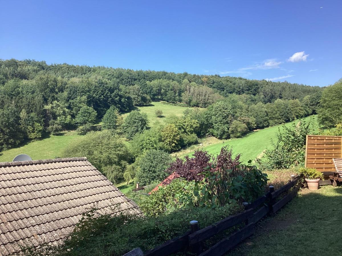 Chalet Spessart Dammbach Экстерьер фото
