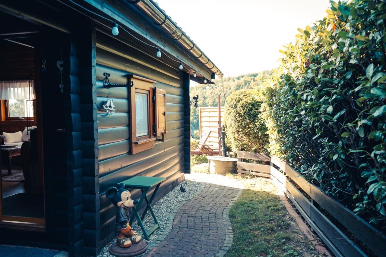 Chalet Spessart Dammbach Экстерьер фото