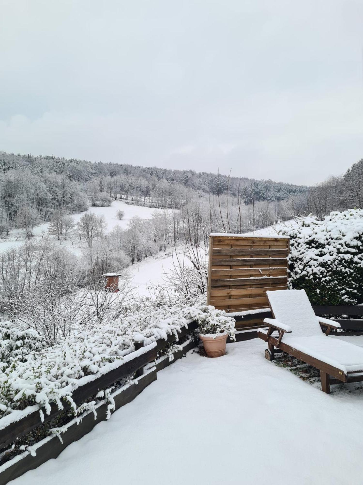 Chalet Spessart Dammbach Экстерьер фото